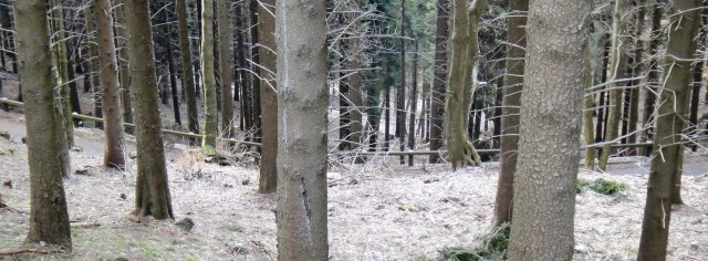 ???????????????????????????????