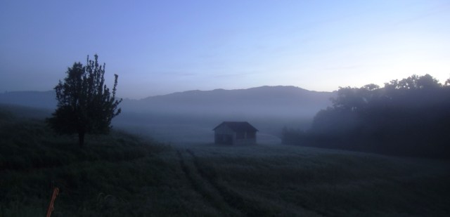 ???????????????????????????????