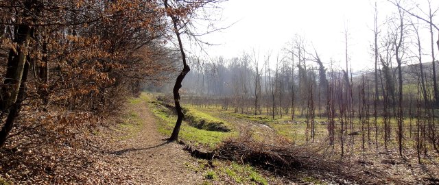 ???????????????????????????????