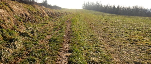 ???????????????????????????????